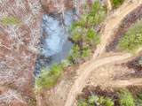  Laurel Bluff Rd - Photo 4