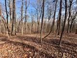  Laurel Bluff Rd - Photo 55