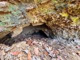  Laurel Bluff Rd - Photo 12