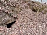  Laurel Bluff Rd - Photo 14