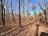  Laurel Bluff Rd - Photo 18