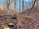  Laurel Bluff Rd - Photo 18