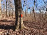  Laurel Bluff Rd - Photo 8