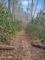 1R-1 Branam Hollow Rd - Photo 22
