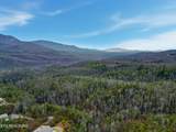 1R-1 Branam Hollow Rd - Photo 8