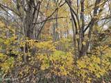 227 Elihu Rd - Photo 10