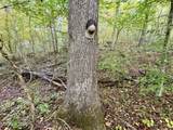  Sharp Rd - Photo 12