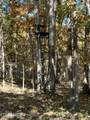  Simmons Branch Road Rd - Photo 12