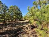  Simmons Branch Road Rd - Photo 3