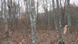 Lot 23 Cumberland Cove Rd - Photo 9