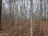  Junior Cox Rd - Photo 4