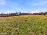 0 Harris Town Rd - Photo 25