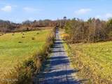 0 Harris Town Rd - Photo 8