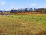0 Harris Town Rd - Photo 9