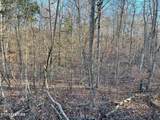0 Governor John Sevier Hwy - Photo 5