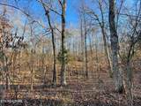 0 Governor John Sevier Hwy - Photo 8