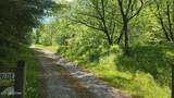  Dooley Hollow Rd - Photo 5
