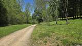  Dooley Hollow Rd - Photo 4