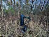  Four Mile Creek Rd - Photo 4