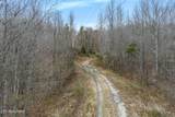0 Cordell Mtn Pvt Lane - Photo 8