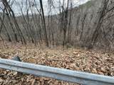Lot 34 Alpine Drive - Photo 2