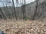 Lot 34 Alpine Drive - Photo 3