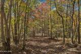  Sheep Ranch Rd - Photo 15