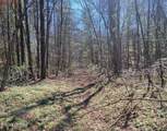  Four Mile Creek Rd - Photo 7