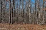4 Acres Overlook Rd - Photo 6