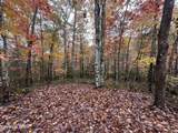 000 Wilderness Tr - Photo 7