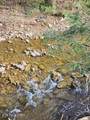  Little Elk Creek Rd - Photo 16