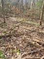  Little Elk Creek Rd - Photo 6