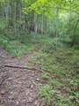 691 &  695 Blue Ridge Church Rd - Photo 40