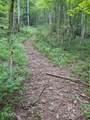 691 &  695 Blue Ridge Church Rd - Photo 41