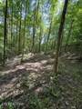 691 &  695 Blue Ridge Church Rd - Photo 42
