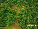0 Bear Knob Lane - Photo 3