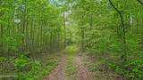 17.65 Blaine Smith Rd - Photo 11