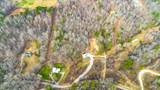 1863 Old County Garage Rd - Photo 8