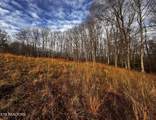  Smith Mountain Rd - Photo 15