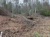  Coy Rhea Way - Photo 3