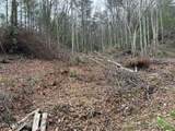  Coy Rhea Way - Photo 4