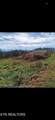 Lot # 2 King Bend Road - Photo 1