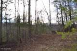 Lot 151 Steel Tram Ridge - Photo 15