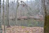 Lot 151 Steel Tram Ridge - Photo 46