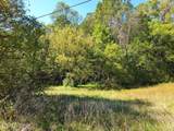 18.72ac Ferguson Ridge Rd - Photo 2