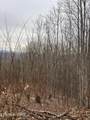 Lot 19 Dogwood Ridge Way - Photo 6