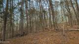 1655 Lester Whitt Rd - Photo 9