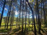 20377 Wilderness Rd - Photo 22