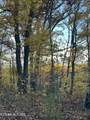 27.42 AC Black Mountain Road Rd - Photo 10