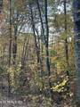 27.42 AC Black Mountain Road Rd - Photo 11
